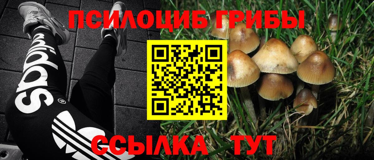 Ревда  Псилоцибиновые грибы Cubensis  Галлюциногенные грибы прущие грибы  Вход с VPN 