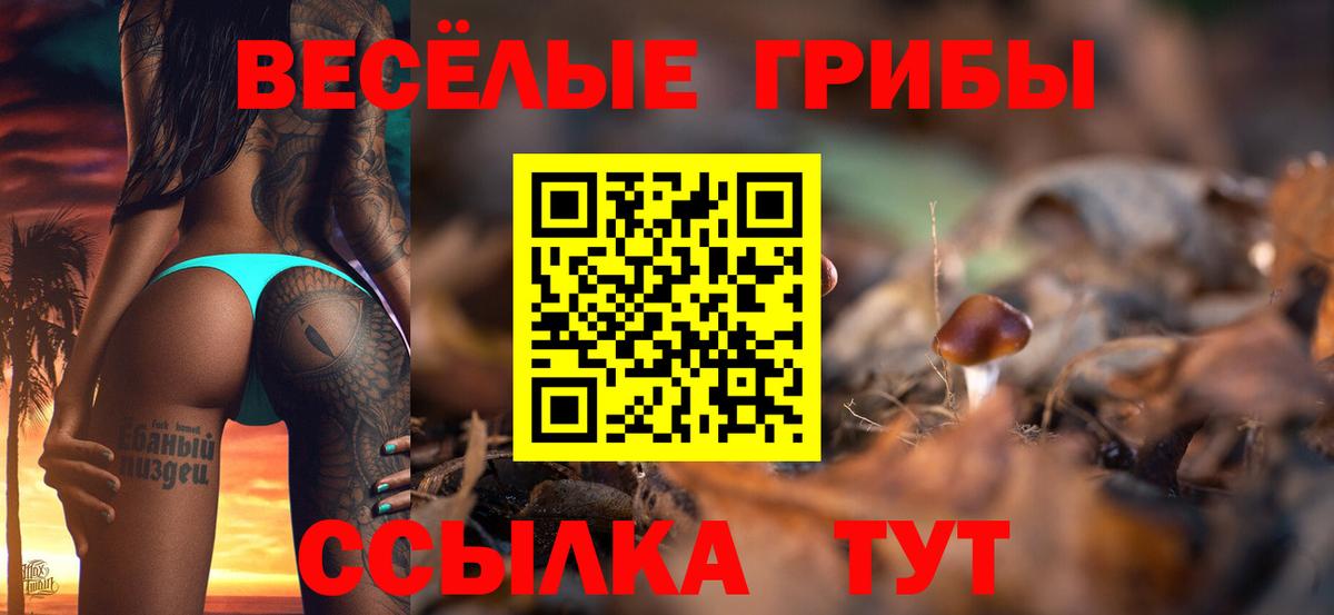Галлюциногенные грибы мухоморы Ревда