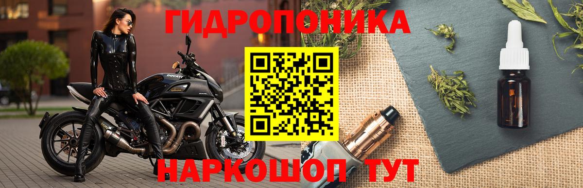 Бошки Шишки OG Kush  Каннабис сатива  Вход с VPN  Ревда  МАРИХУАНА OG Kush 