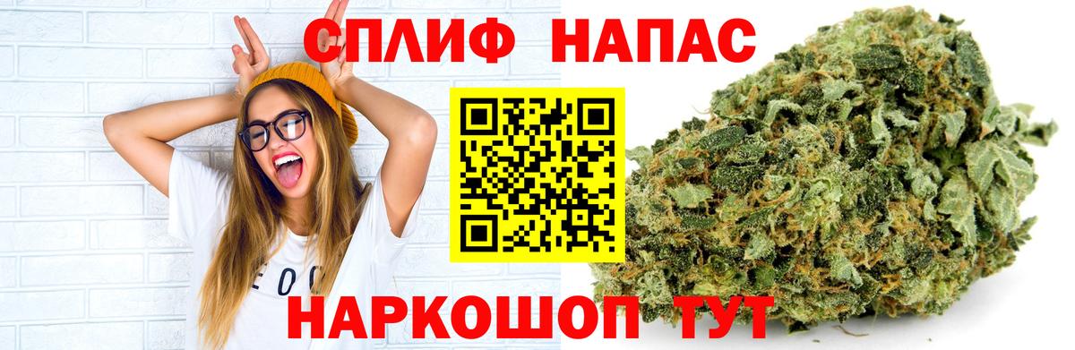 Бошки Шишки Amnesia Ревда